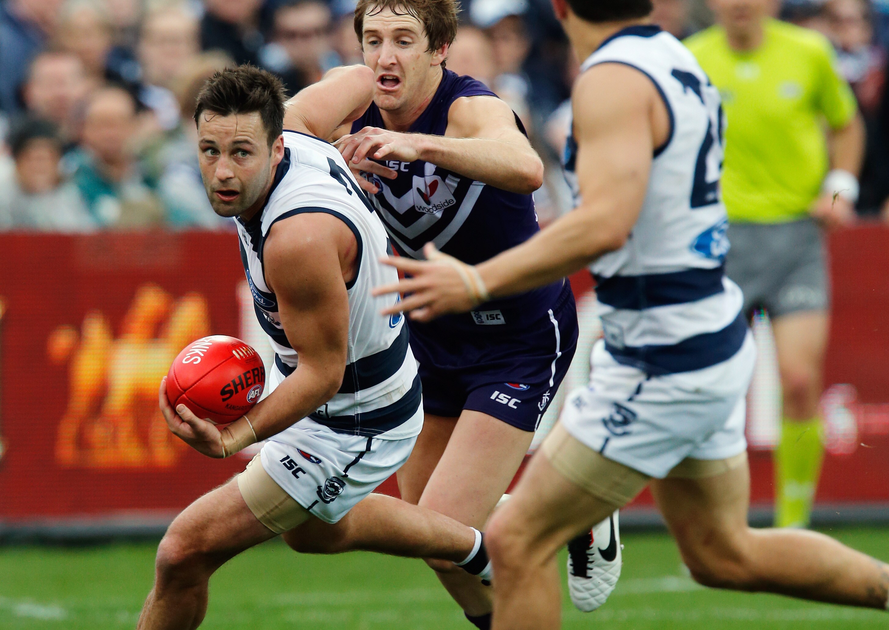 The Stats Cat Cats v Dockers